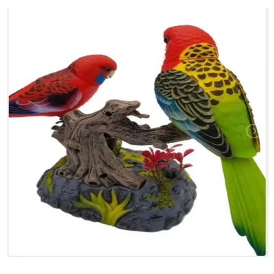 Ensemble Beautiful Birds