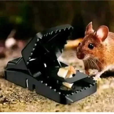 Super Powerful Mouse Trap Rat Trap